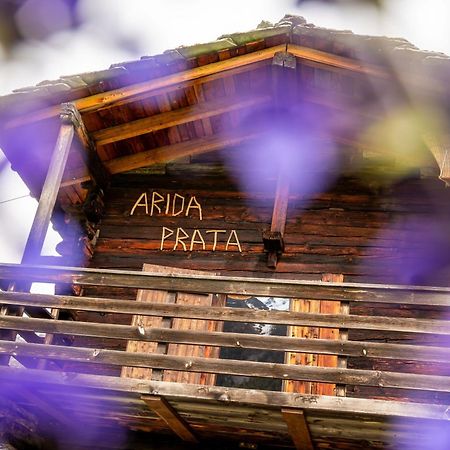 Korn-Stadel Arida Prata "Natur Pur" Grächen Eksteriør billede